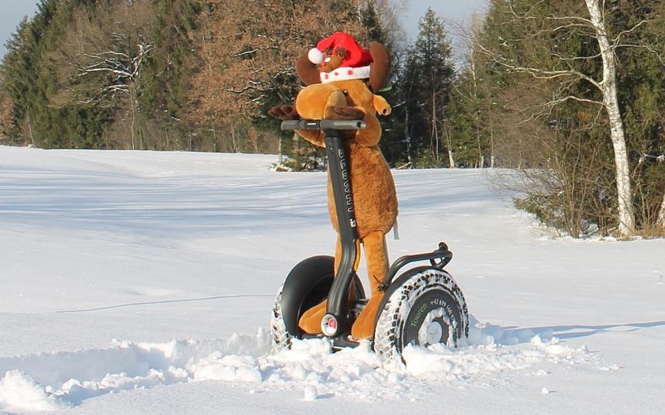 Ein Rentier aus Stoff steht im Schnee auf einem Segway.